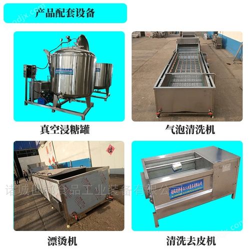 vf油炸机 食品机械设备网